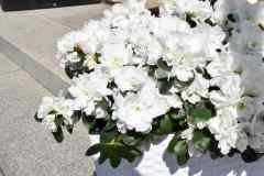 image015